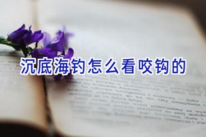 沉底海钓怎么看咬钩的