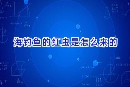 海钓鱼的红虫是怎么来的