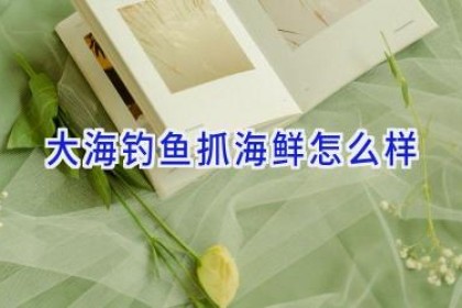 大海钓鱼抓海鲜怎么样