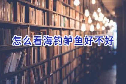 怎么看海钓鲈鱼好不好