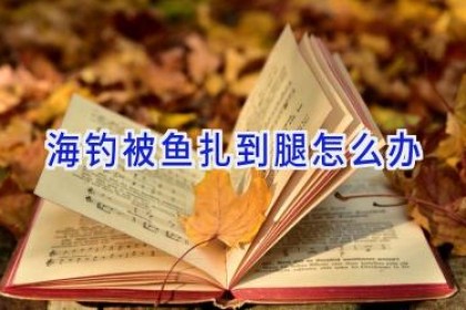 海钓被鱼扎到腿怎么办
