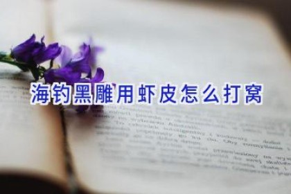 海钓黑雕用虾皮怎么打窝