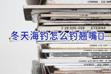 冬天海钓怎么钓翘嘴