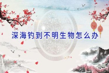 深海钓到不明生物怎么办