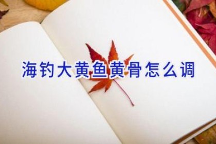 海钓大黄鱼黄骨怎么调