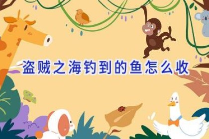盗贼之海钓到的鱼怎么收