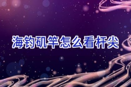 海钓矶竿怎么看杆尖