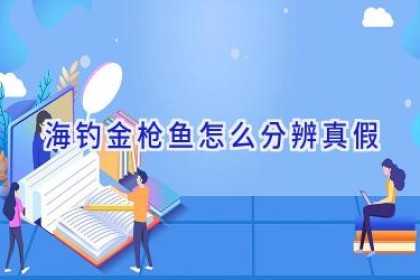 海钓金枪鱼怎么分辨真假
