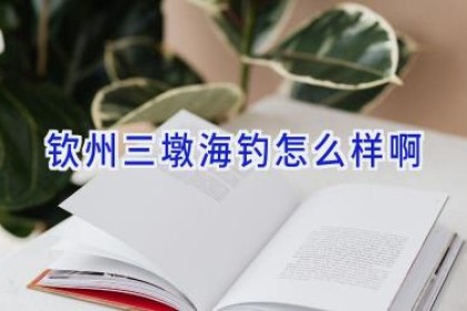 钦州三墩海钓怎么样啊