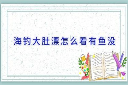 海钓大肚漂怎么看有鱼没