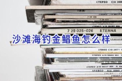 沙滩海钓金鲳鱼怎么样