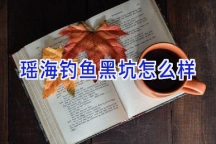瑶海钓鱼黑坑怎么样