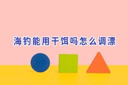 海钓能用干饵吗怎么调漂