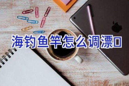 海钓鱼竿怎么调漂