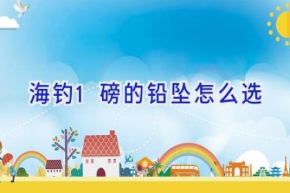 海钓1磅的铅坠怎么选