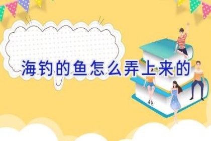 海钓的鱼怎么弄上来的