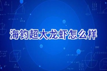 海钓超大龙虾怎么样