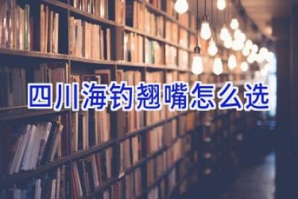 四川海钓翘嘴怎么选