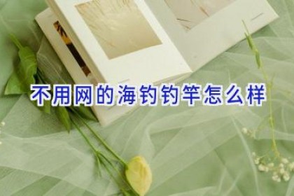 不用网的海钓钓竿怎么样