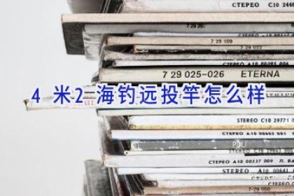 4米2海钓远投竿怎么样