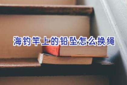 海钓竿上的铅坠怎么换绳