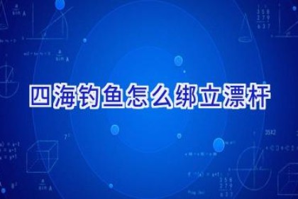 四海钓鱼怎么绑立漂杆