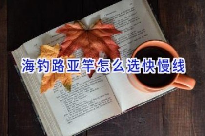 海钓路亚竿怎么选快慢线