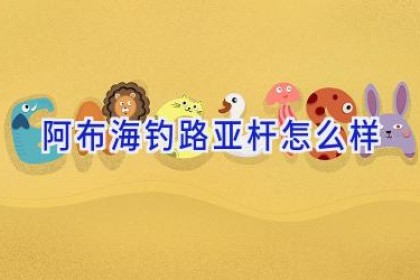 阿布海钓路亚杆怎么样