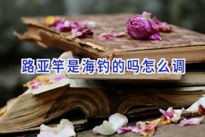 路亚竿是海钓的吗怎么调