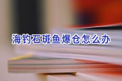 海钓石斑鱼爆仓怎么办