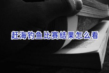 赶海钓鱼比赛结果怎么看