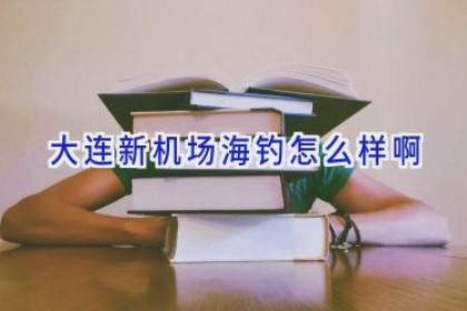 大连新机场海钓怎么样啊