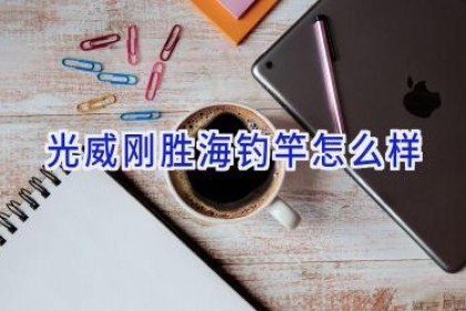 光威刚胜海钓竿怎么样
