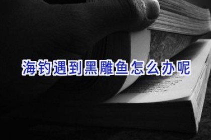 海钓遇到黑雕鱼怎么办呢