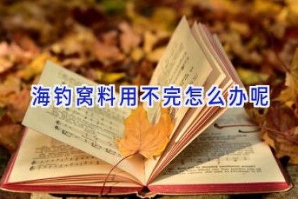 海钓窝料用不完怎么办呢