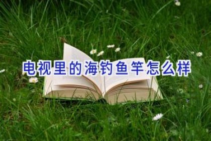电视里的海钓鱼竿怎么样