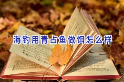 海钓用青占鱼做饵怎么样