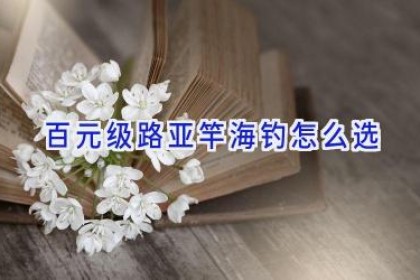 百元级路亚竿海钓怎么选