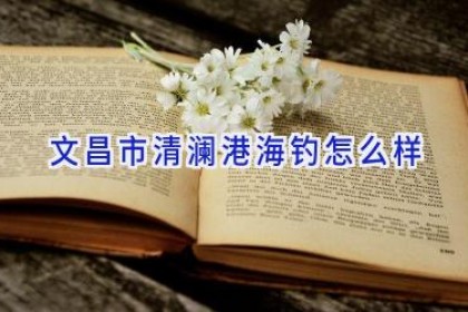 文昌市清澜港海钓怎么样