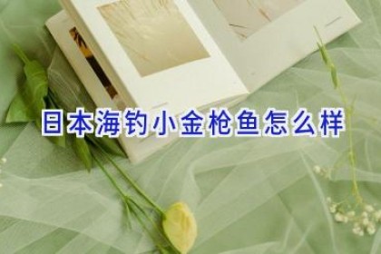 日本海钓小金枪鱼怎么样