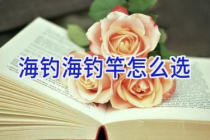 海钓海钓竿怎么选
