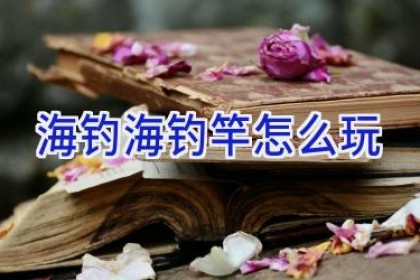 海钓海钓竿怎么玩