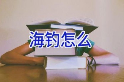 海钓怎么