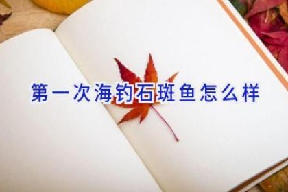 第一次海钓石斑鱼怎么样