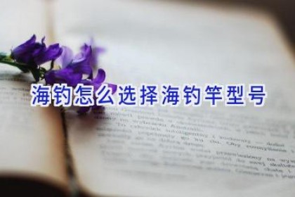 海钓怎么选择海钓竿型号