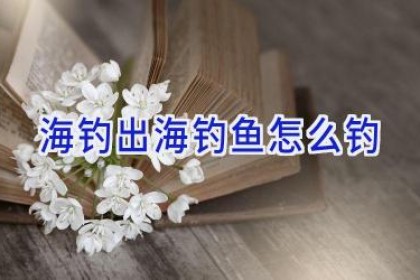 海钓出海钓鱼怎么钓