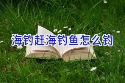 海钓赶海钓鱼怎么钓