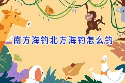 南方海钓北方海钓怎么钓