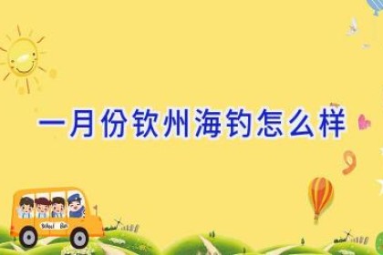 一月份钦州海钓怎么样