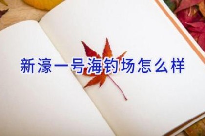 新濠一号海钓场怎么样